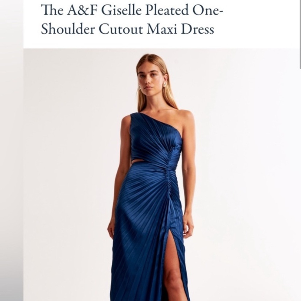 Abercrombie Giselle pleated one shoulder maxi dress